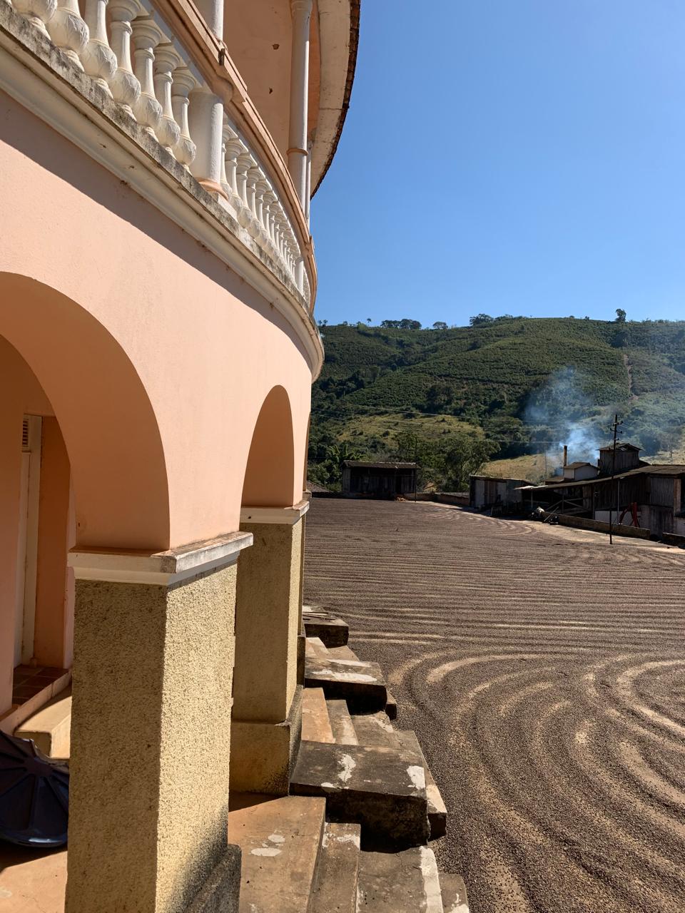 Sustainable coffee farming at Fazenda Rio Branco